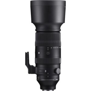 Sigma 60-600mm f/4.5-6.3 DG DN OS Sports Lens Sony E